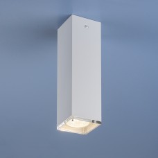 Накладной точечный светильник Elektrostandard 5705 WH белый Nowodvorski
